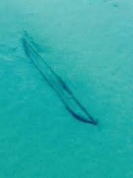Marty lagina joins kevin and his team as they battle the elements and take one final shot at finding 140 million dollars of confederate gold at the bottom of. Lake Michigan Shipwreck From Civil War Could Contain Gold Treasure Divers Say Abc7 Chicago