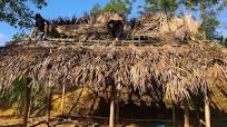 Palm leaf roof hut, Thatched house, Leveling house floor, How to make a  roof - Farm Life Ep.4