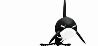 Killer Whale Dance Finger Gifs Tenor Vector cute cartoon drawing sea life whales collection set. killer whale dance finger gifs tenor