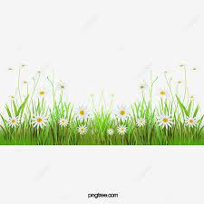 Rumput grinting mempunyai kelebihan yang tersendiri pada jenis jenis rumput lain. Gambar Bunga Rumput Clipart Rumput Belukar Bunga Bunga Png Transparan Clipart Dan File Psd Untuk Unduh Gratis Grass Flower Green Grass Background Pink Flowers Background