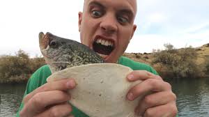 We did not find results for: Making Crappie Tacos Catch N Cook Black Crappie Youtube