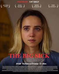 THE BIG SICK (2017) romantic comedy film directed by Michael Showalter and  written by Emily V. Gordon and Kumail Nanjiani. It stars Nanjiani, Zoe  Kazan, Holly Hunter, Ray Romano, Adeel Akhtar, and