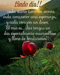 La Imagen Puede Contener Texto Y Naturaleza Good Day Quotes Good Morning Messages Morning Messages