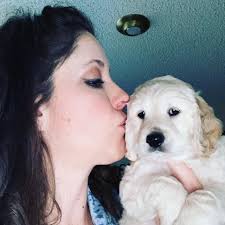 Robyn Dix (@robynsnestminigoldens) • Instagram photos and videos