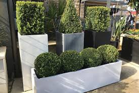 Petunias are summer's workhorse, continuously pumping out vibrant blooms in the season's harshest heat. Fibrelite Pots Flavio