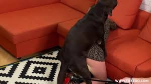 leopard party , veronica - BestialitySexTaboo - Bestiality Sex Taboo