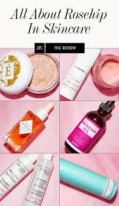 Your Handy Guide To Rose And Rosehip In Beauty Products Dry Skin Routine Skin Care Tips Skin Care