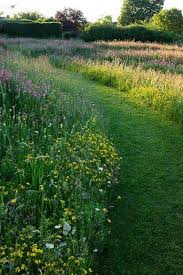 Pin On Amazing Garden Ideas