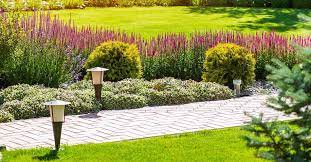 Local landscaping services know which plant varieties can withstand a lot of traffic. Commercial Landscaping Dubai 1 Commercial Landscapers