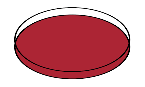 Ada ragam tema wallpaper yang tersedia disini, seperti wallpaper pemandangan, anime, android, desktop. File Petri Dishes Open Svg Wikimedia Commons