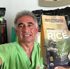 RAW VEGAN TACO CATER