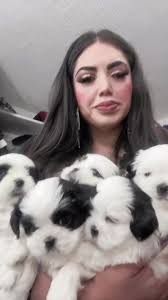 #JACKIEFERRARIOFICIALYOUTUBE #jackieferrari6 #jacquelineferrariortiz #