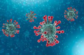 We would like to show you a description here but the site won't allow us. Coronaviruses Have Been Around For Centuries What Differentiates Covid 19 Consult Qd