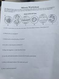 Mitosis lecture materials used to supplement actual college biology courses. The Diagram Below Shows Six Cells In Various Phases Chegg Com