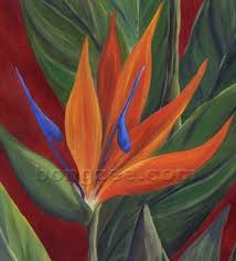 Painting Oil Painting Bird Of Paradise Flower Pin On Flowers To Paint
