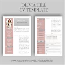 2 Page Cv Template Free Download Best Resume Examples