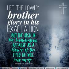 And why are you anxious about clothing? Lowly Brother I Live For Jesus