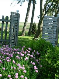 Epingle Par Sofie Sur Tuinpoortje Avec Images Palette Jardin Amenagement Jardin Portail Jardin