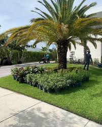 Part 1, planning and design. The Landscaping People Inc Home Facebook