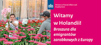Przypominamy podstawowe zasady naliczenia kwota brutto powinna znajdować się tuż pod kwotą netto, czyli tą poddaną opodatkowaniu! Minimalne Zarobki I Stawki Godzinowe W Holandii