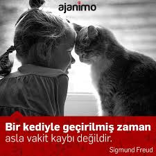 Bir Kediyle Gecirilmis Zaman Asla Vakit Kaybi Degildir Sigmund Freud Ajanimo Ajanbrian Kedi Cat Animal Hayvan Hayvan Sozleri Kedi Sigmund Freud