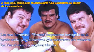 Hasta el momento, se desconoce el motivo de la muerte del gladiador. La Triste Final De Super Porky Y Lucha Libre Triple A