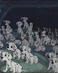 I know people have judged me in the past for having pets. Dalmatian Puppies Disney Wiki Fandom