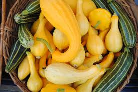 Squash (and zucchini, a variety of squash) is a favorite in the spring and summer vegetable garden. Zucchini And Beyond A Farmers Market Guide To Summer Squash Cuesa