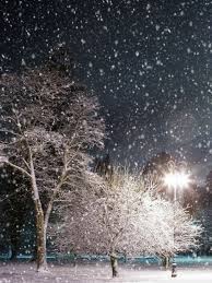 You need install atoz downloader first. Night Snow Wallpaper Phone 768x1024 Wallpaper Teahub Io