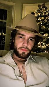 Inside Liam Payne's lavish life as he makes almost £1m in a year despite  having ALL his work cancelled by pandemic
