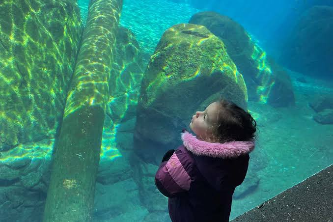 How Many of America's Best Zoos Have You Actually Visited?