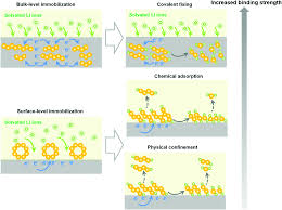 Electron configurations for main group ions problem 4: Covalent Fixing Of Sulfur In Metal Sulfur Batteries Energy Environmental Science Rsc Publishing