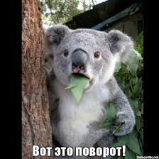 https://encrypted-tbn0.gstatic.com/images?q=tbn:ANd9GcRhU1Mm7lOmB-EzSNV_cxyDEtajlWcEDJhDCQ&amp;usqp=CAU
