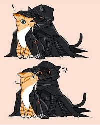 Pin On Star Wars Gay Shit