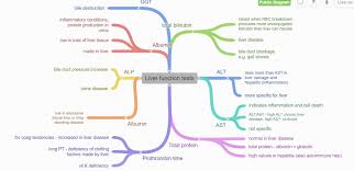 Image result for Liver Function Test