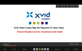 It is easy to use, but also very flexible with many options. Xvid Codec For Mac Yolavote