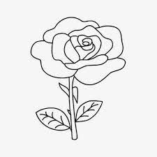 Contoh mewarnai gambar sketsa bunga yang terakhir ini dibuat simpel dan terkesan ala kadarnya. Gambar Sketsa Mewarnai Bunga Dari Beragam Gambar Sketsa Bunga Lengkap Di 2021 Sketsa Sketsa Bunga Halaman Mewarnai Bunga