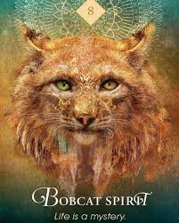 Bobcat Spirit Life Is A Mystery The Bobcat Moves Furtively And Mysteriously A Animal Spirit Cards Spirit Animal Totem Animal Totem Spirit Guides