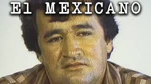 GUSTAVO TRUJILLO y su tremendo Nocaut #boxeo #jorgeebro