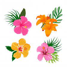 Skachivajte Tropicheskie Cvety Besplatno Flower Clipart Flower Drawing Tropical Flowers