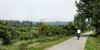 Una vacanza in bicicletta in emilia romagna si può fare tutto l'anno. Ciclopista Del Sole E Pista Ciclabile Della Val D Adige In Bicicletta Da Bolzano A Trento E Verona Valle Adige Vallagarina Radweg Etsch The Adige Cycling Path Ciclovia Via Ciclabile Cicloturismo Bicicletta Gravel