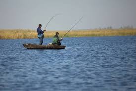 1 stabilit prin ordonanța de urgență a guvernului nr.105/2001 privind frontiera de stat a româniei, cu modificările și completările ulterioare, aprobată prin legea nr. Interzis La Pescuit In Perioada 11 Aprilie 9 Iunie Perioada De ProhibiÈ›ie La Pescuit Comercial In