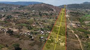 Image result for Blotiella trichosora