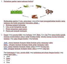 We did not find results for: Gambar 4 Contoh Soal Hots Yang Disusun Oleh Guru Download Scientific Diagram