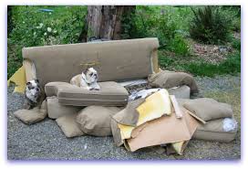 Old Sofas Never Die…Unless Assisted
