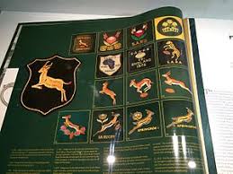 La nazionale sudafricana di rugby a 15 è la rappresentativa nazionale maschile di rugby a 15 del sudafrica. Equipe D Afrique Du Sud De Rugby A Xv Wikipedia