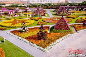 Dubai Miracle Garden 31 Miracle Garden Most Beautiful Gardens Public Garden
