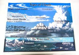 Types Of Clouds Chartlet Carson Dellosa 009830 Rainbow