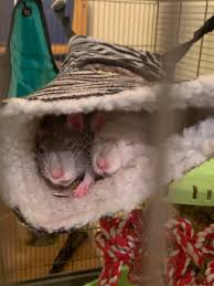 EuniceGarciaaas OnlyFans: Is It All Its Cracked Up To Be? - Truth or  Fiction