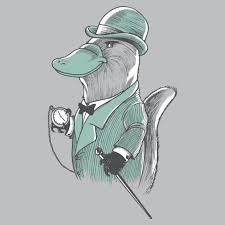 Funny Animal T Shirts Tank Tops And Hoodies Snorgtees Koala Drawing Platypus Animal Tshirt